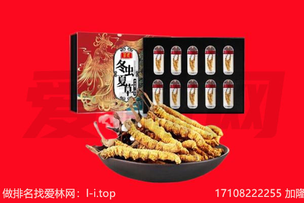 伊犁州巩留县回收虫草.jpg